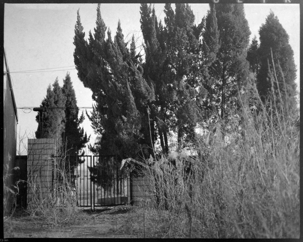 Line-A-Day Short Story&nbsp;(October)