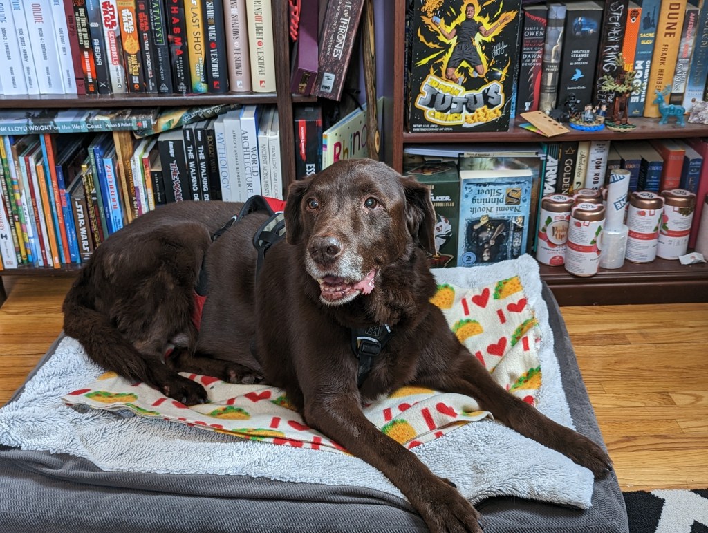 An Update Involving the Royal&nbsp;Emporium